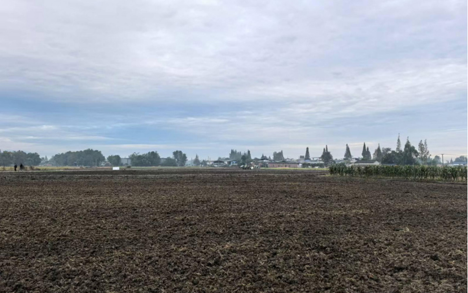 Ĵʡɶ2024³߱׼ũ...